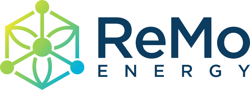 Remo_Energy-removebg-preview-1